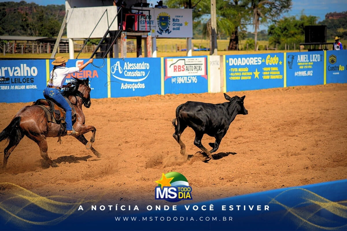 Imagem da Galeria